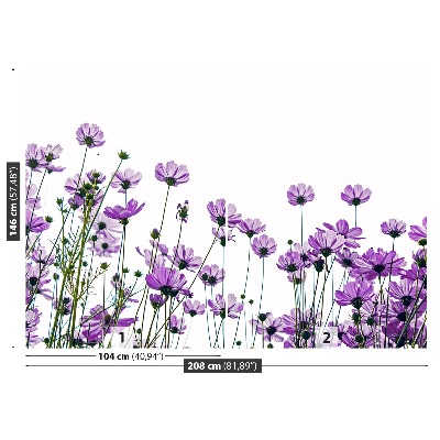 Fotótapéta virágok kozmosz
