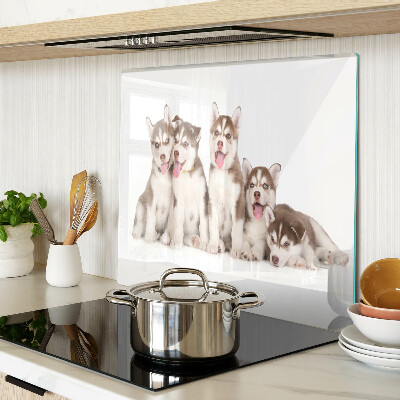Edzett üveg vágódeszka Husky kölykök