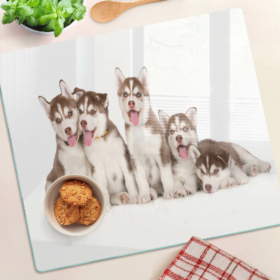 Edzett üveg vágódeszka Husky kölykök