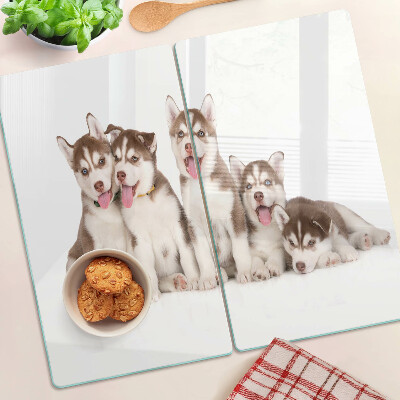 Edzett üveg vágódeszka Husky kölykök
