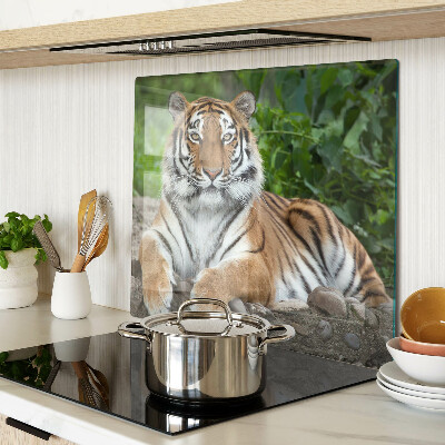 Üveg vágódeszka Tigris természetes élőhelyén