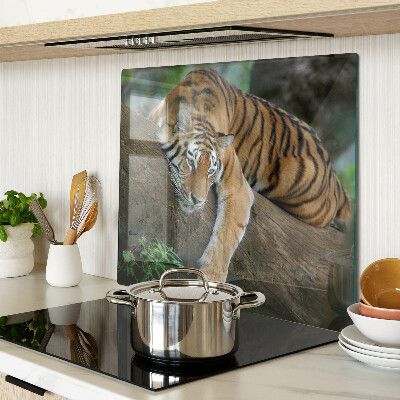 Üveg vágódeszka Tigris egy fatörzsön