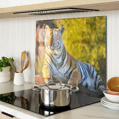 Üveg vágódeszka Tigris a természet hátterében