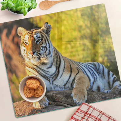 Üveg vágódeszka Tigris a természet hátterében
