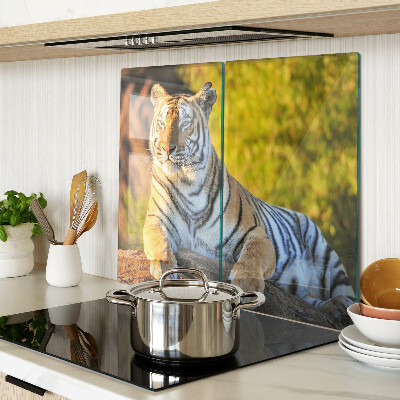 Üveg vágódeszka Tigris a természet hátterében