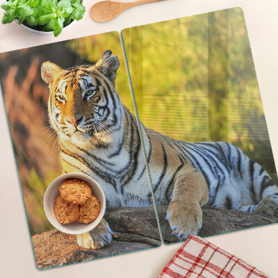 Üveg vágódeszka Tigris a természet hátterében