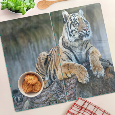 Edzett üveg vágódeszka Tigris egy fatörzsön