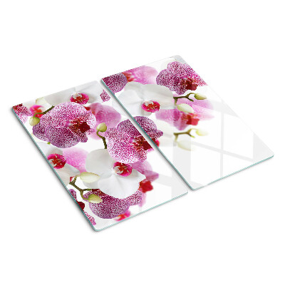 Üveg vágódeszka Orchideák az ablak előtt