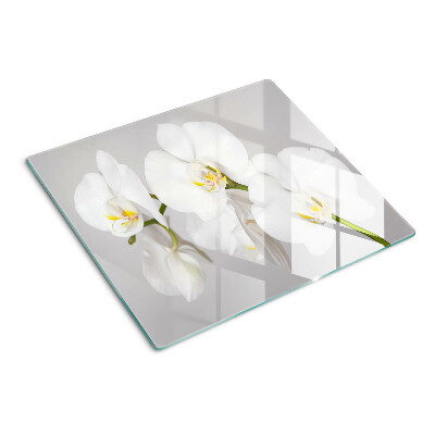 Üveg vágódeszka Orchideák tükörkép háttér előtt