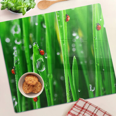 Edzett üveg vágódeszka Vízcseppek a fűben katicabogarakkal