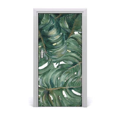 Ajtó tapéta monstera