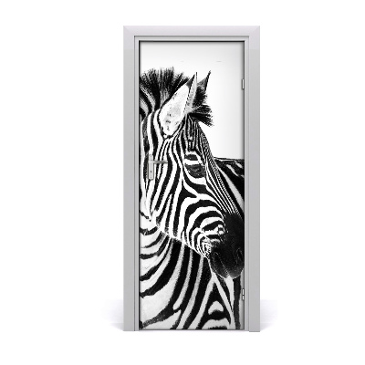 Ajtóposzter Zebra hó