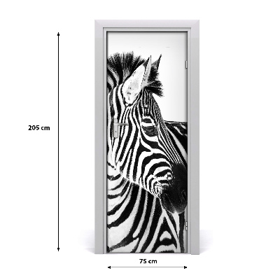 Ajtóposzter Zebra hó