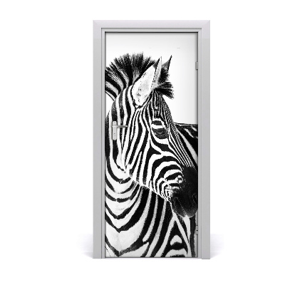 Ajtóposzter Zebra hó