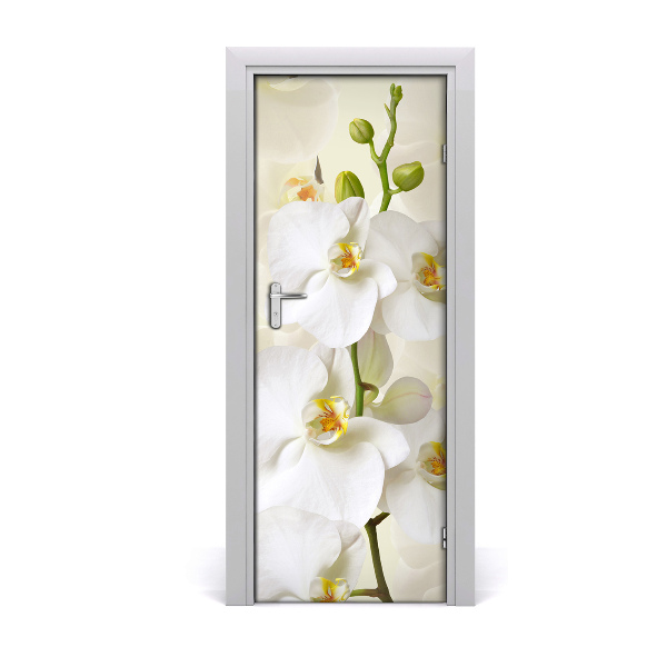 Ajtó tapéta fehér orchidea