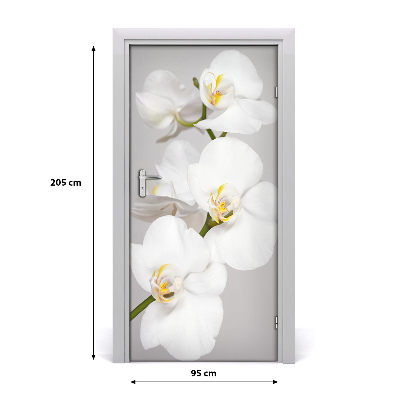 Ajtó tapéta fehér orchidea