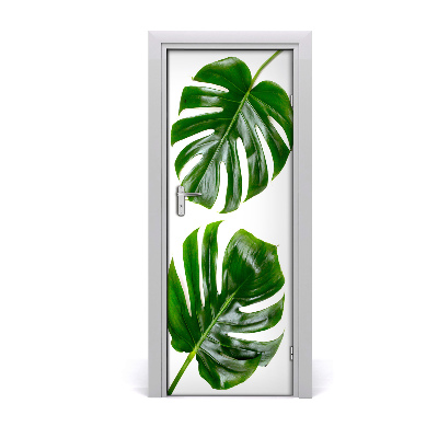 Ajtóposzter öntapadós monstera