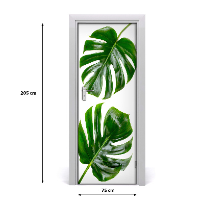 Ajtóposzter öntapadós monstera