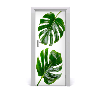 Ajtóposzter öntapadós monstera