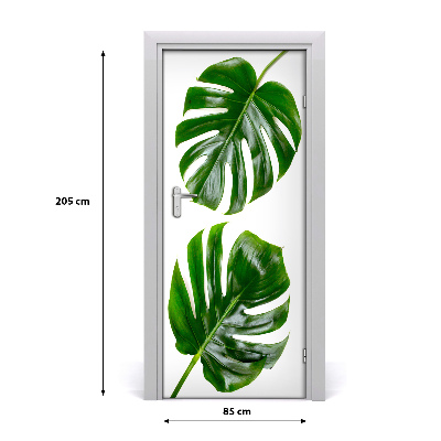 Ajtóposzter öntapadós monstera