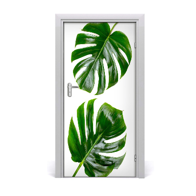 Ajtóposzter öntapadós monstera