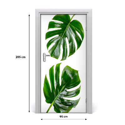 Ajtóposzter öntapadós monstera