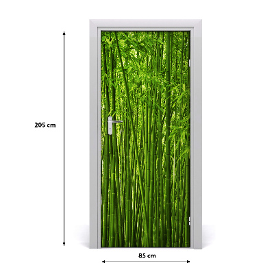 Poszter tapéta ajtóra bambusz erdő