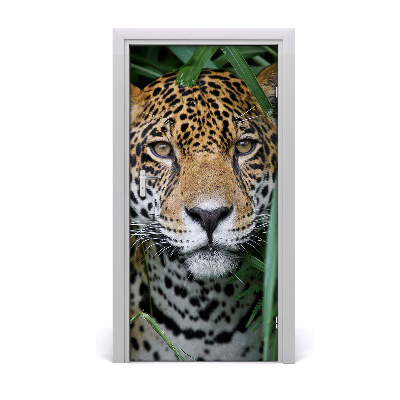 Ajtómatrica Jaguar az Amazon