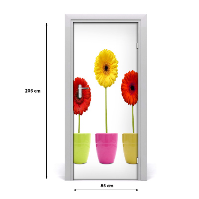 Ajtóposzter öntapadós színes gerbera