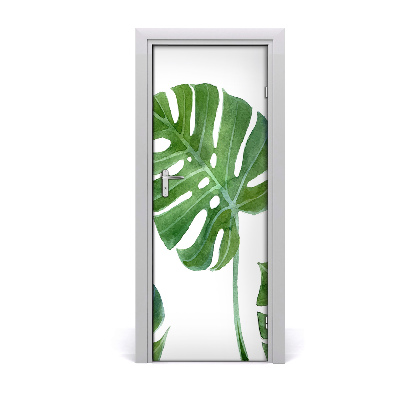 Ajtóposzter öntapadós monstera