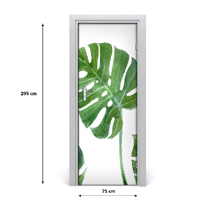 Ajtóposzter öntapadós monstera