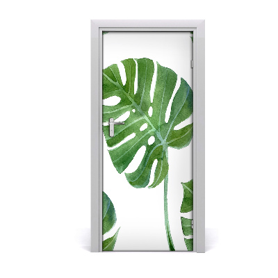 Ajtóposzter öntapadós monstera