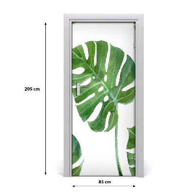 Ajtóposzter öntapadós monstera