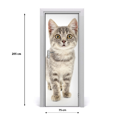 Ajtó méretű poszter szürke macska