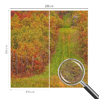 Fotótapéta nappaliba Őszi színek