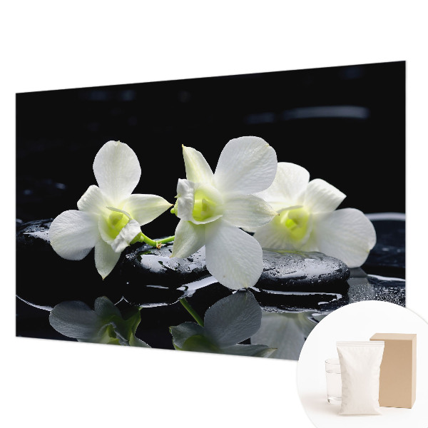 Fotótapéta Virágok és kövek