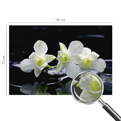 Fotótapéta Virágok és kövek