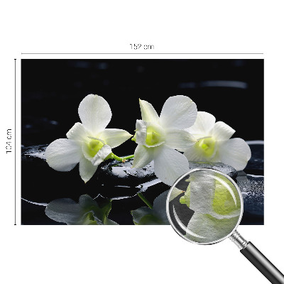 Fotótapéta Virágok és kövek