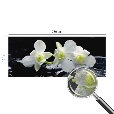 Fotótapéta Virágok és kövek