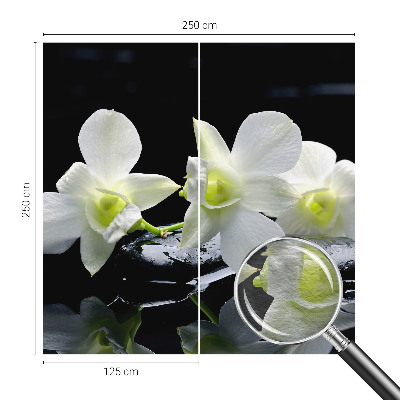 Fotótapéta Virágok és kövek