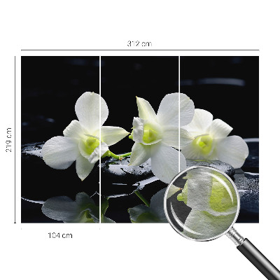 Fotótapéta Virágok és kövek