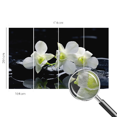 Fotótapéta Virágok és kövek