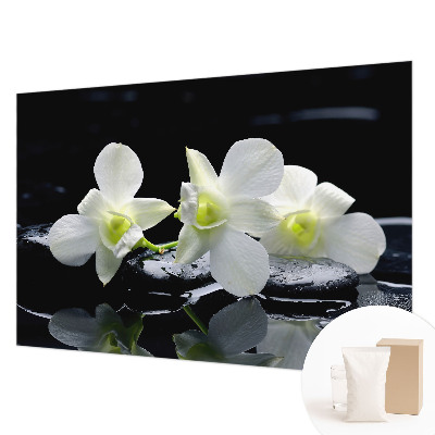 Fotótapéta Virágok és kövek