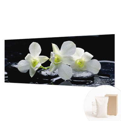 Fotótapéta Virágok és kövek