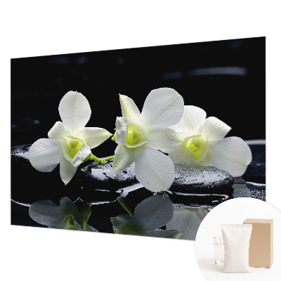 Fotótapéta Virágok és kövek