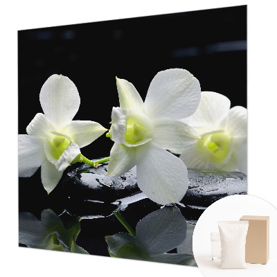 Fotótapéta Virágok és kövek