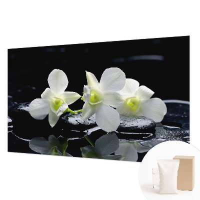 Fotótapéta Virágok és kövek