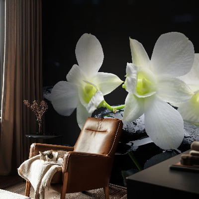 Fotótapéta Virágok és kövek