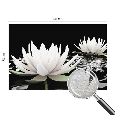 Poszter tapéta Vízi virágok