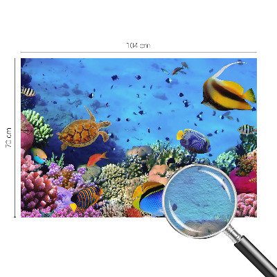 Fotótapéta méretre hálószobába Korallzátony